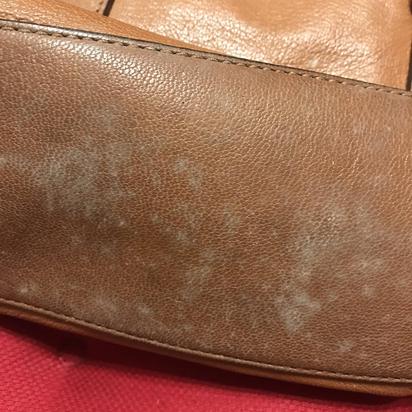 Help!!! Apple leather care conditioner ruined my LV backpack